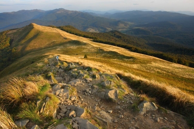 Połonina Caryńska. Źródło: www.bieszczadyinfo.pl