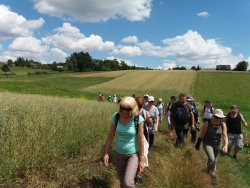 Relacja z wyprawy Klubu Przygoda na górę Szczytniak (16.07.2017r.)