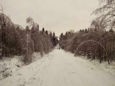 06.01.2019 - Wycieczka w święto Trzech Króli