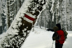 03.12.2016 (sobota)  -  Powitanie Zimy z KTP PTTK &quot;Przygoda&quot;