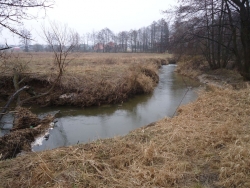 29.02.2020 - Szósta rocznica śmierci Krzysztofa Bogusza