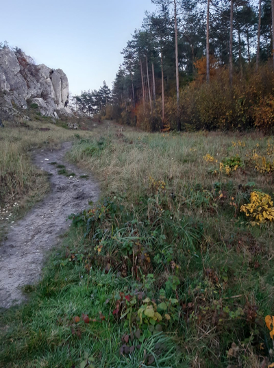 11.11.2023 - Wycieczka na Jurę Krakowsko - Częstochowską