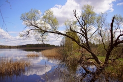 29-30.06.2019 - Wycieczka do Poleskiego Parku Narodowego