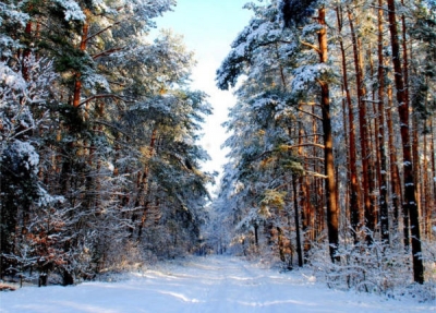 24.01.2016 - Niedzielna wycieczka KTP PTTK &quot;Przygoda&quot;