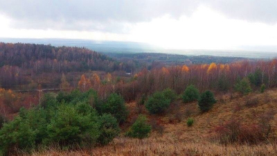 Widok z Góry Jaźwiny