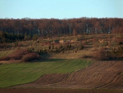 24.10.15 - Sobotnia wycieczka KTP PTTK &quot;Przygoda&quot;